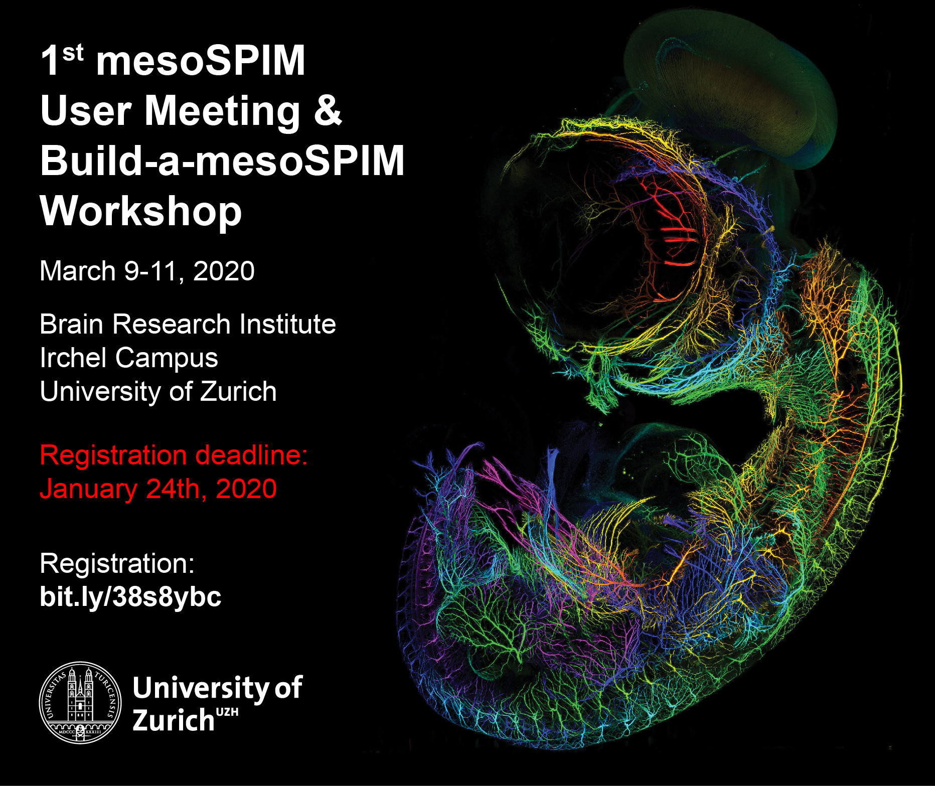 mesoSPIM User Meeting 2020 poster