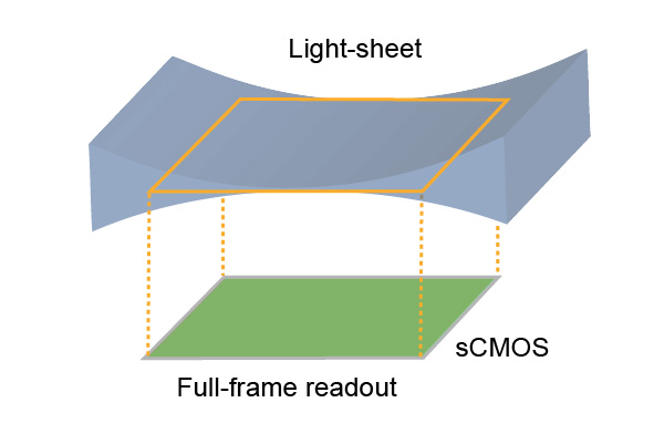 Standard light-sheet illumination