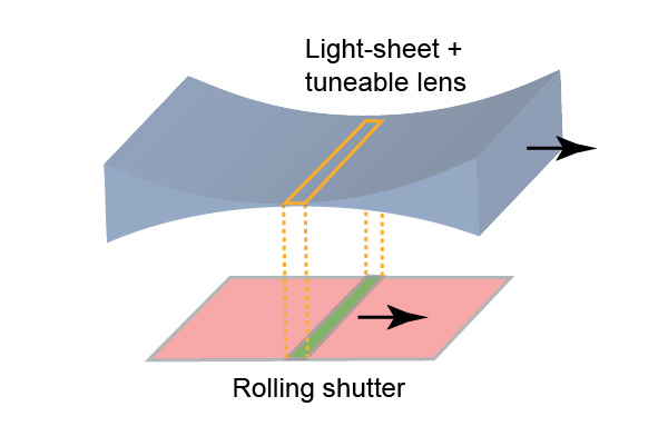 Concept of axially scanned light-sheet microscopy (ASLM)
