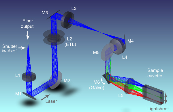 Optical design of the excitation path 