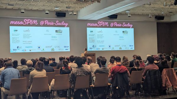 Speaker at the mesoSPIM Symposium 2025